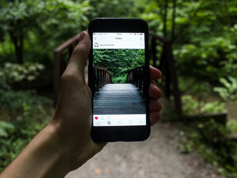 Iganony Instagram Stories Viewer