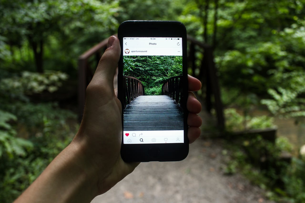 Iganony Instagram Stories Viewer